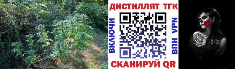 ТГК THC oil  Купить где  Меленки 